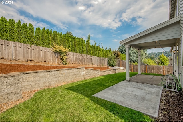 view of yard with a patio