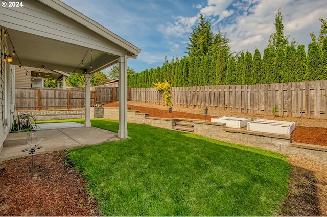 view of yard featuring a patio