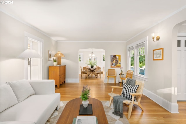 living room featuring crown molding and light hardwood / wood-style flooring