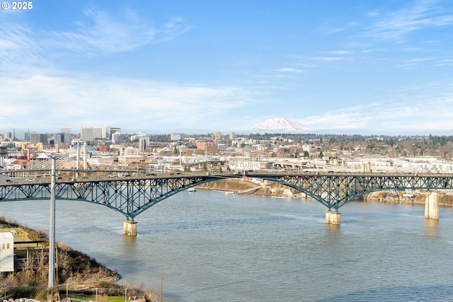 view of water feature with a view of city and a pier