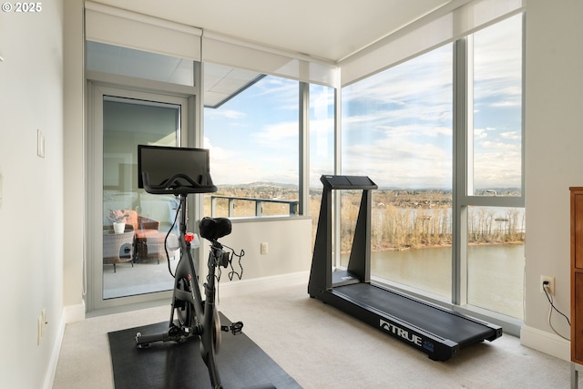 exercise area featuring carpet floors and baseboards