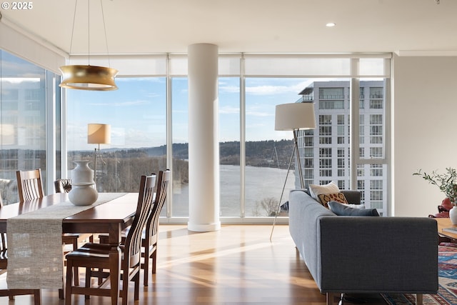 dining space featuring wood finished floors and floor to ceiling windows