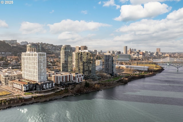 view of city featuring a water view