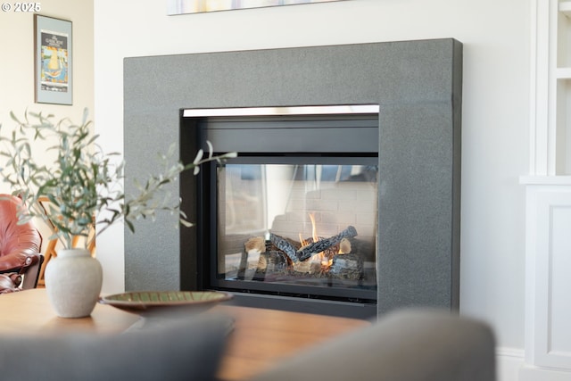 room details with a glass covered fireplace