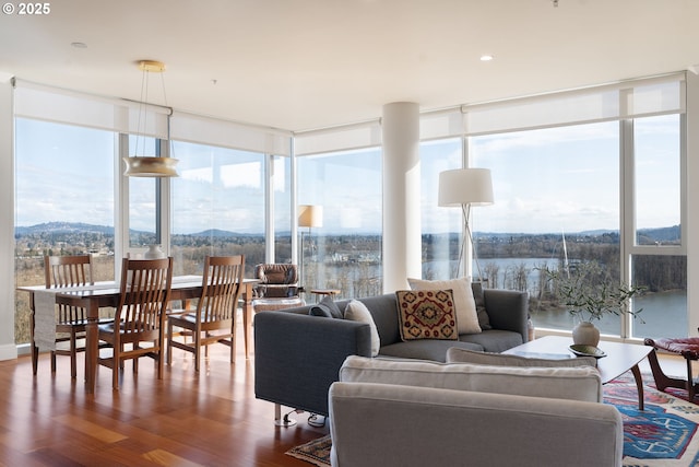 living room featuring expansive windows and dark wood finished floors