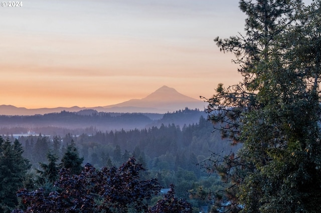 property view of mountains