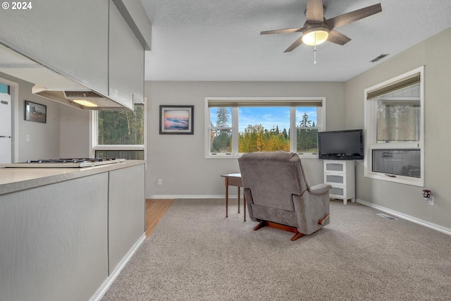 living room featuring a textured ceiling, ceiling fan, and light carpet