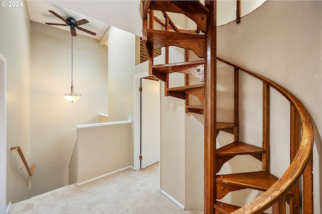 stairway featuring ceiling fan and carpet floors