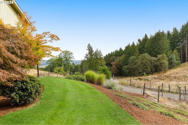 view of yard with a rural view