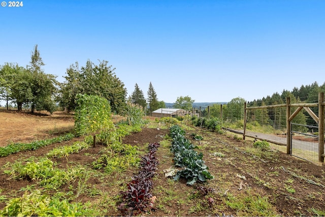 view of yard with a rural view