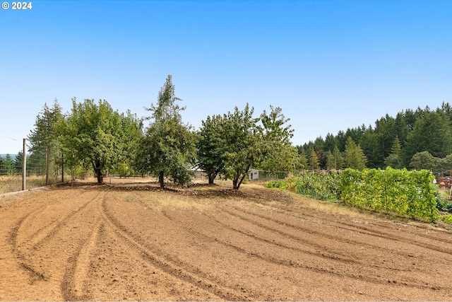 view of road with a rural view