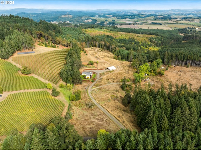 aerial view with a rural view