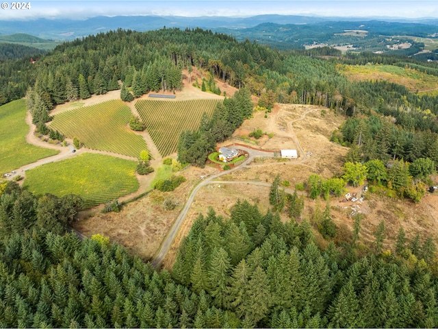 aerial view with a mountain view and a rural view