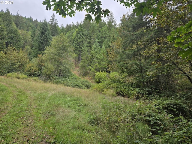 view of nature with a view of trees