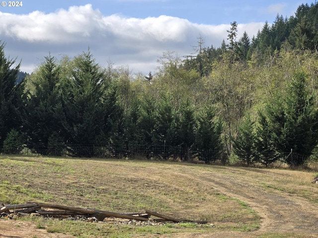 view of nature featuring a forest view