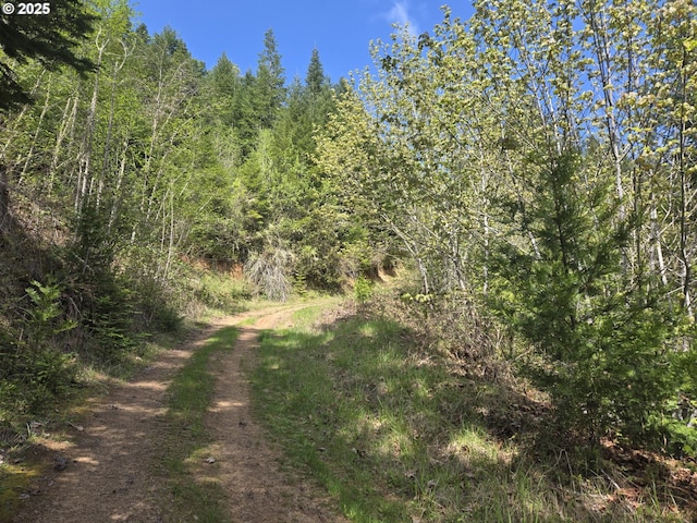 view of local wilderness with a view of trees