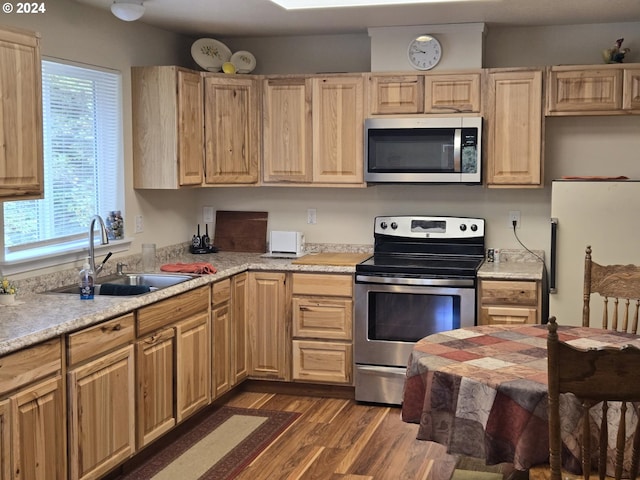 kitchen featuring light brown cabinets, appliances with stainless steel finishes, dark hardwood / wood-style floors, and sink