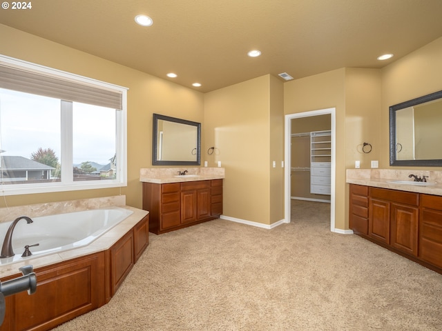 bathroom with a bathing tub and vanity