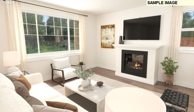 living room with hardwood / wood-style floors