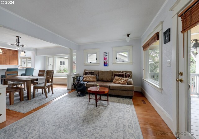 living room featuring ornamental molding, light hardwood / wood-style floors, and a healthy amount of sunlight