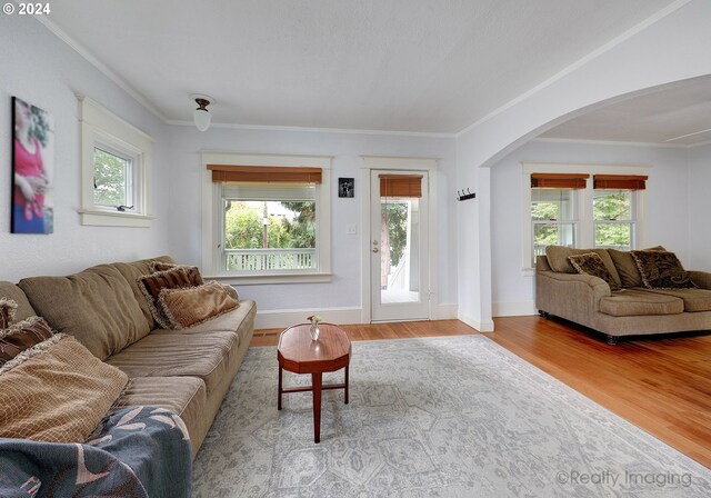 living room with crown molding, plenty of natural light, and light hardwood / wood-style flooring