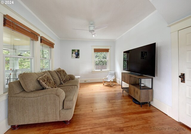 living room with ornamental molding, light hardwood / wood-style flooring, and ceiling fan