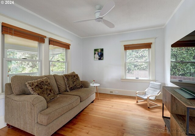 living room featuring ceiling fan, crown molding, a wealth of natural light, and light hardwood / wood-style floors