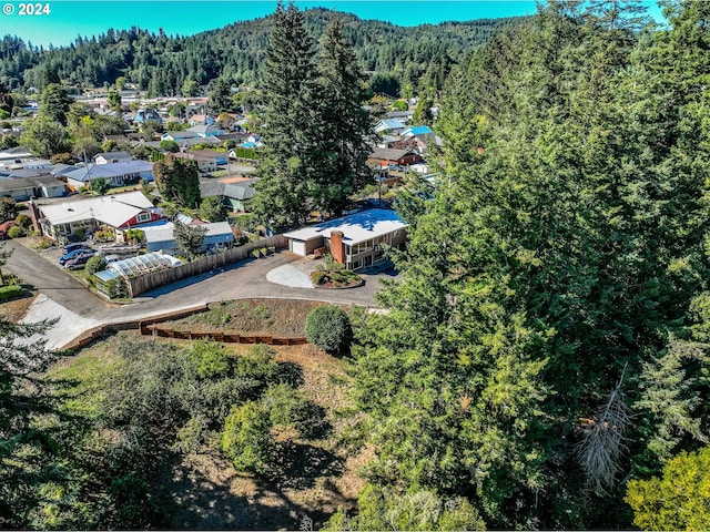 bird's eye view with a forest view