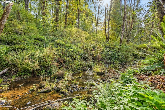 view of local wilderness