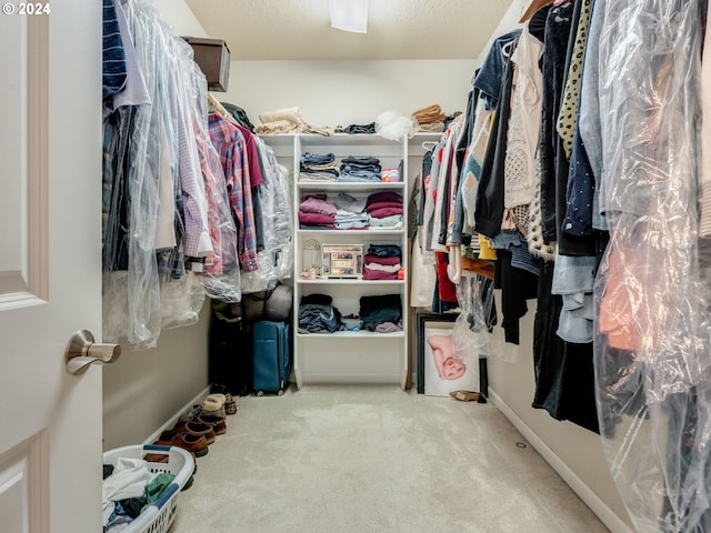 spacious closet with light carpet