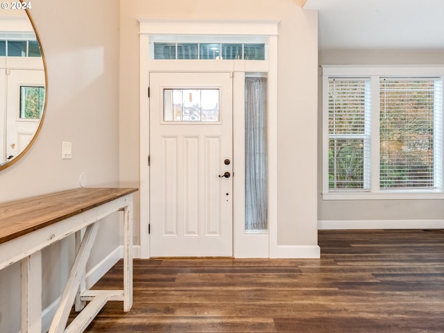 entrance foyer featuring dark hardwood / wood-style flooring