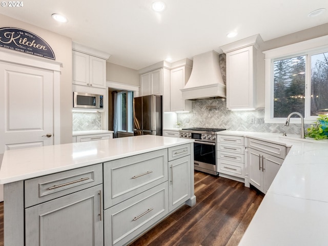 kitchen featuring backsplash, dark wood-type flooring, light stone countertops, custom range hood, and stainless steel appliances