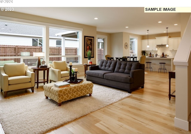 living room with light hardwood / wood-style floors