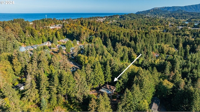 bird's eye view with a water and mountain view