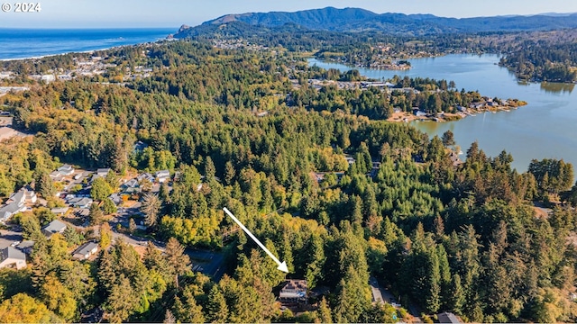 birds eye view of property featuring a water and mountain view