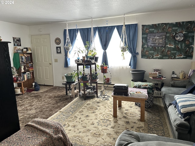 living room with a textured ceiling and dark carpet