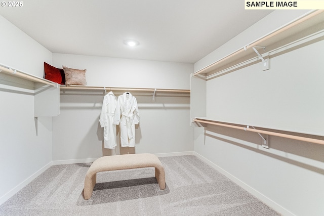 16910 NE 38th Ave, Vancouver, WA 98686 - spacious closet featuring carpet floors