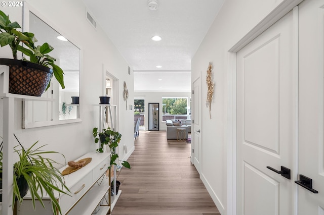 hall with hardwood / wood-style flooring