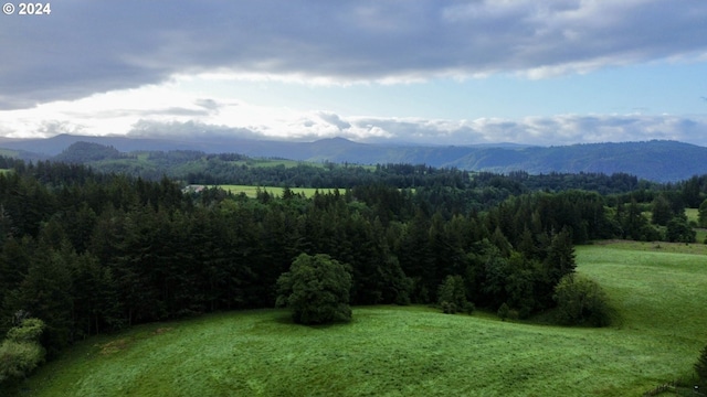 39143 SE Gibson Rd, Washougal, WA 98671 - view of mountain feature with a wooded view