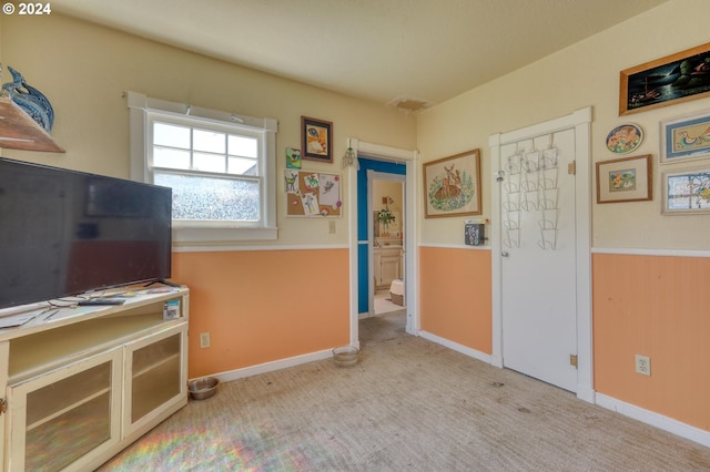 interior space with light carpet