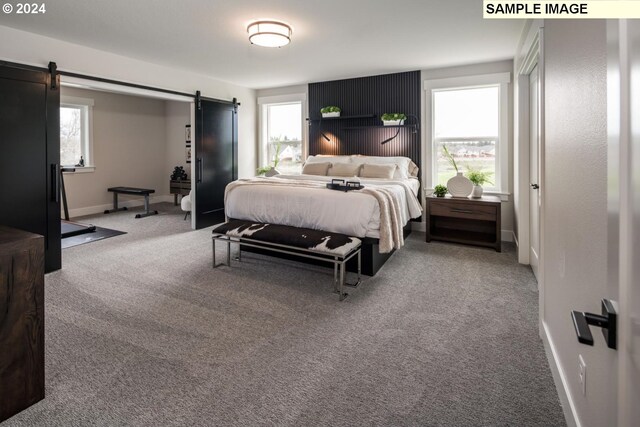 carpeted bedroom featuring multiple windows and a barn door