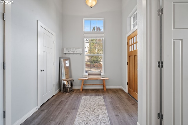 entryway with hardwood / wood-style floors