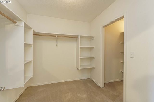 spacious closet featuring light colored carpet