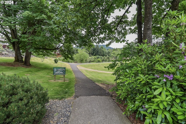 view of community featuring a lawn