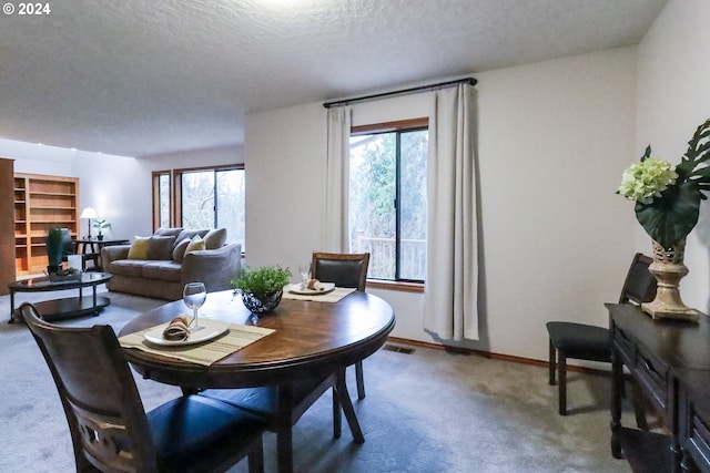 carpeted dining area with a healthy amount of sunlight and a textured ceiling