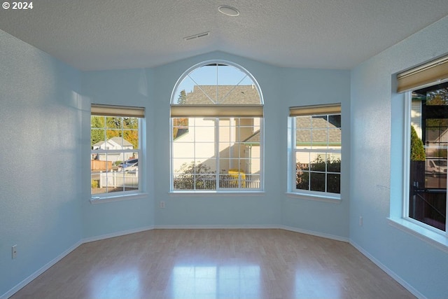 interior space with lofted ceiling, light hardwood / wood-style flooring, and a textured ceiling