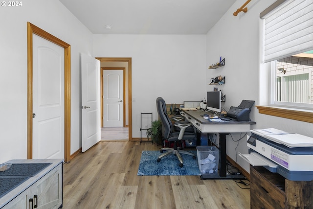 office area with light hardwood / wood-style flooring