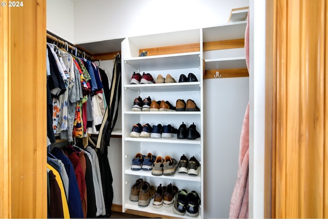 view of walk in closet