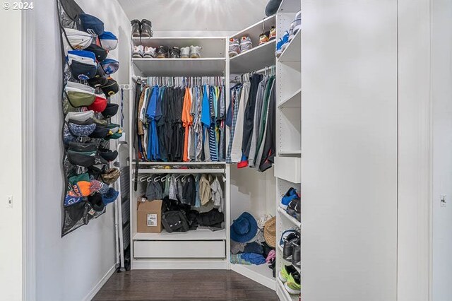 spacious closet with dark hardwood / wood-style flooring