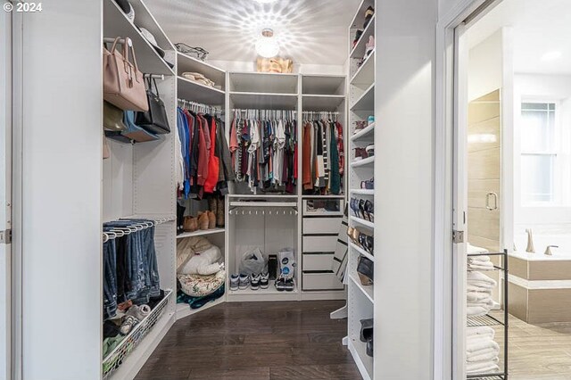 walk in closet with hardwood / wood-style floors